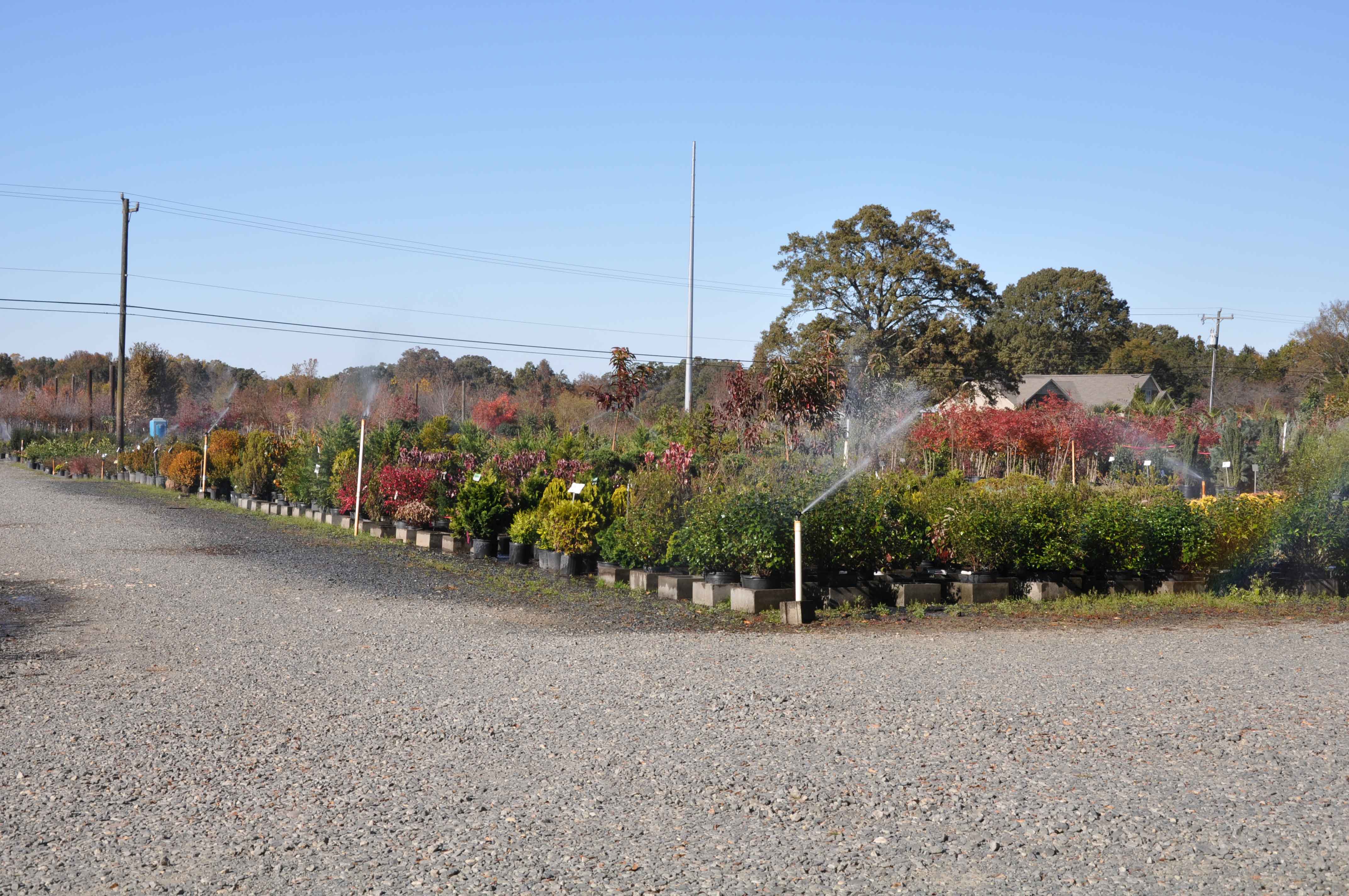 Bouwen Van Een Huis Wholesale Landscape Supply Charlotte Nc Bouwen Van Een Huis Wholesale Landscape Supply Charlotte Nc