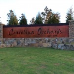 Carolina Orchards